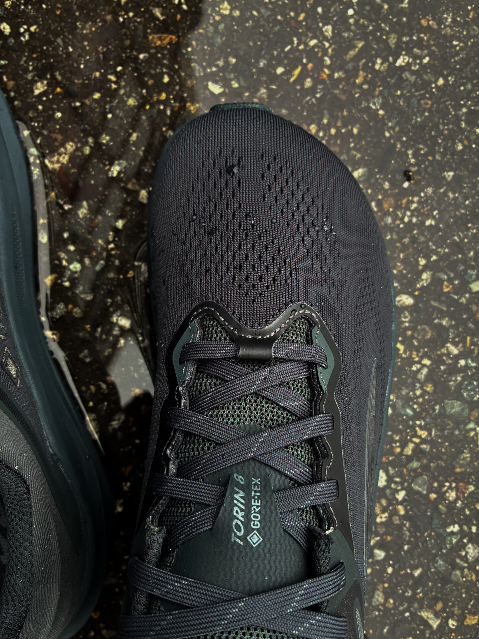 ALTRA TORIN 8 GTX 正面からのアングル